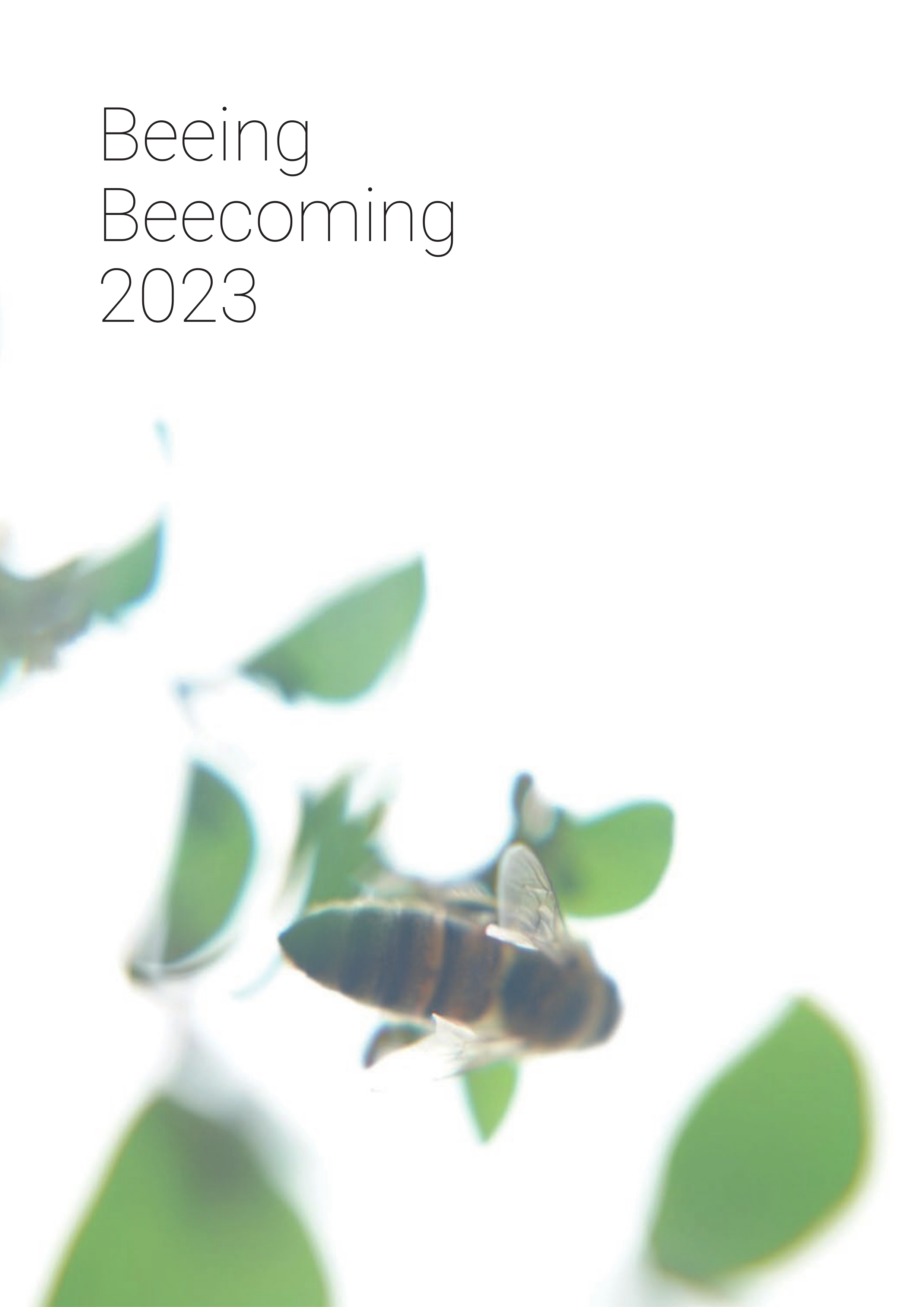Beeing, Beecoming portfolio