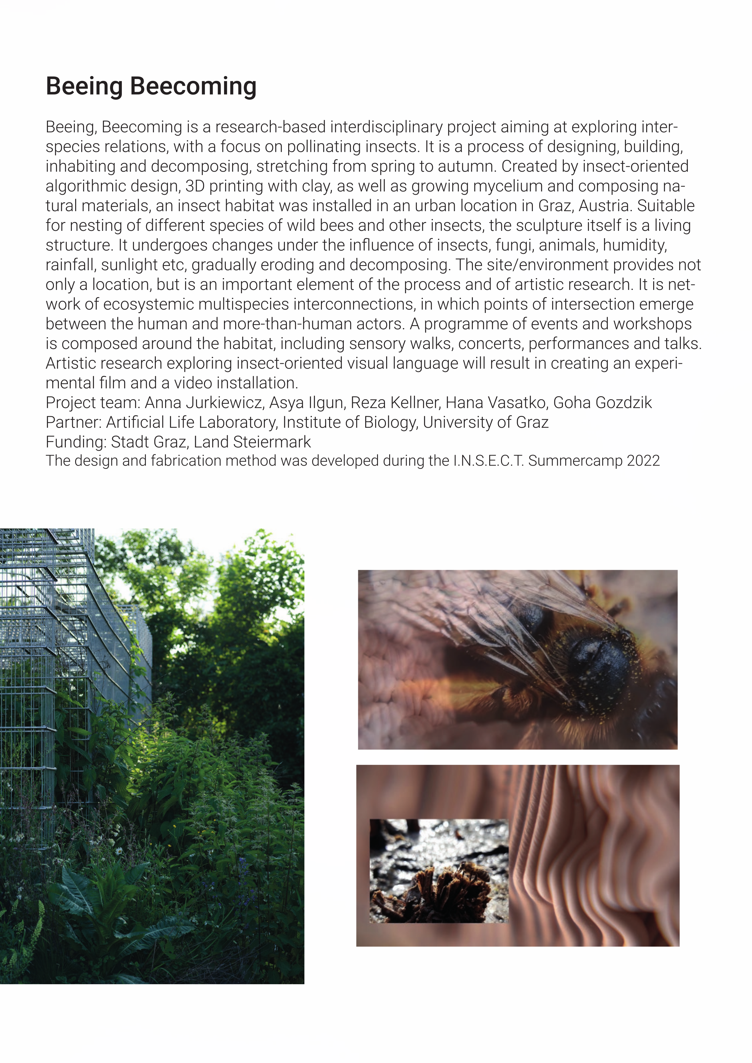 Beeing, Beecoming portfolio