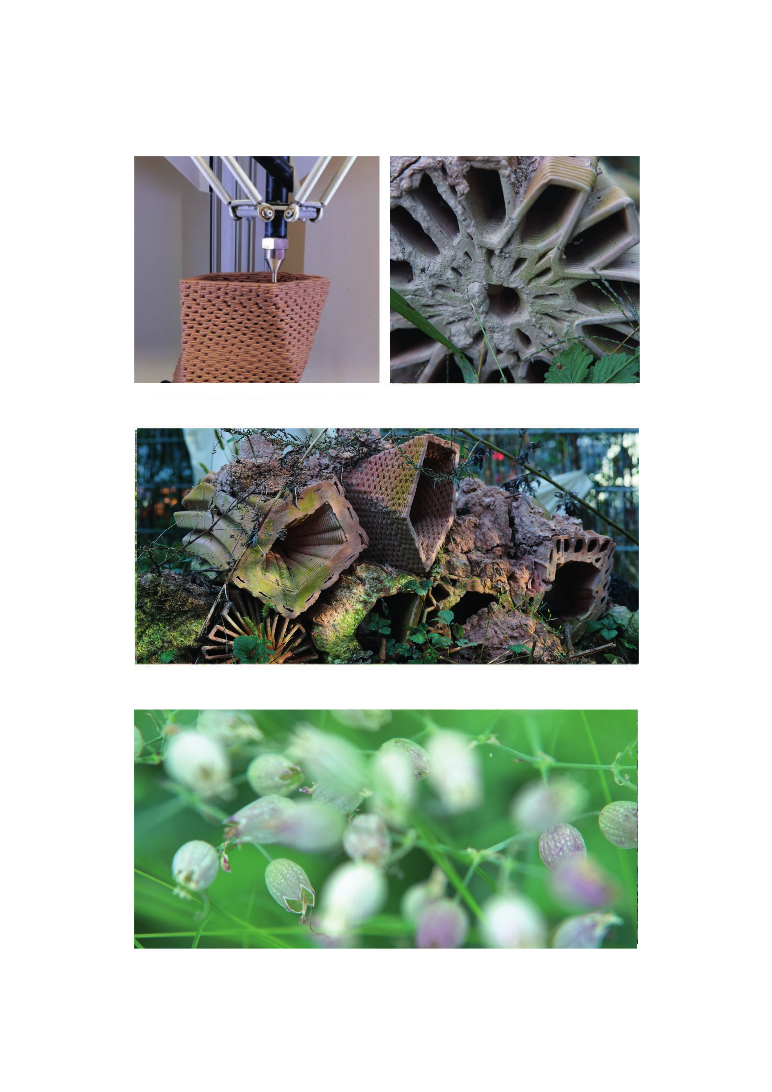Beeing, Beecoming portfolio