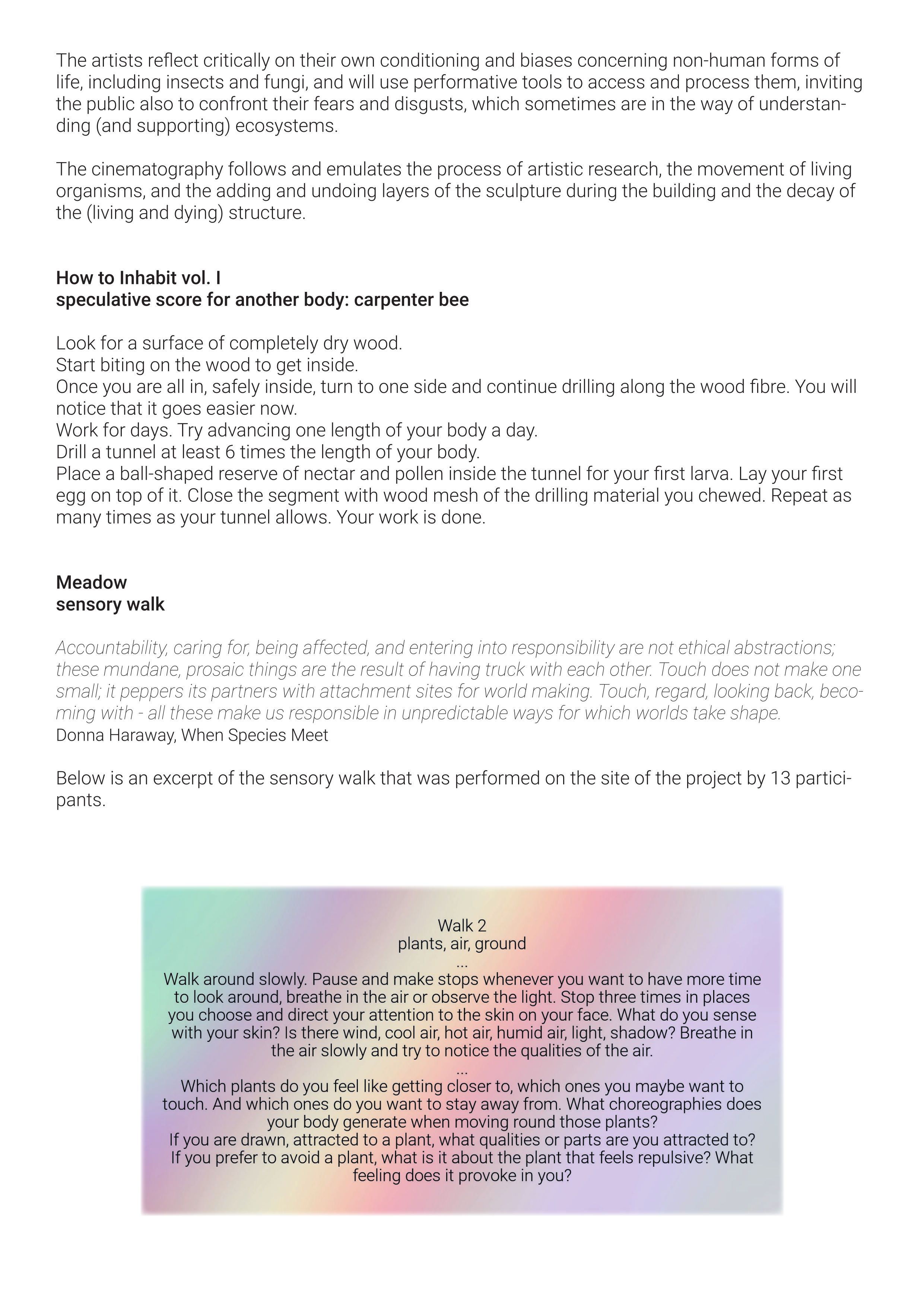 Beeing, Beecoming portfolio