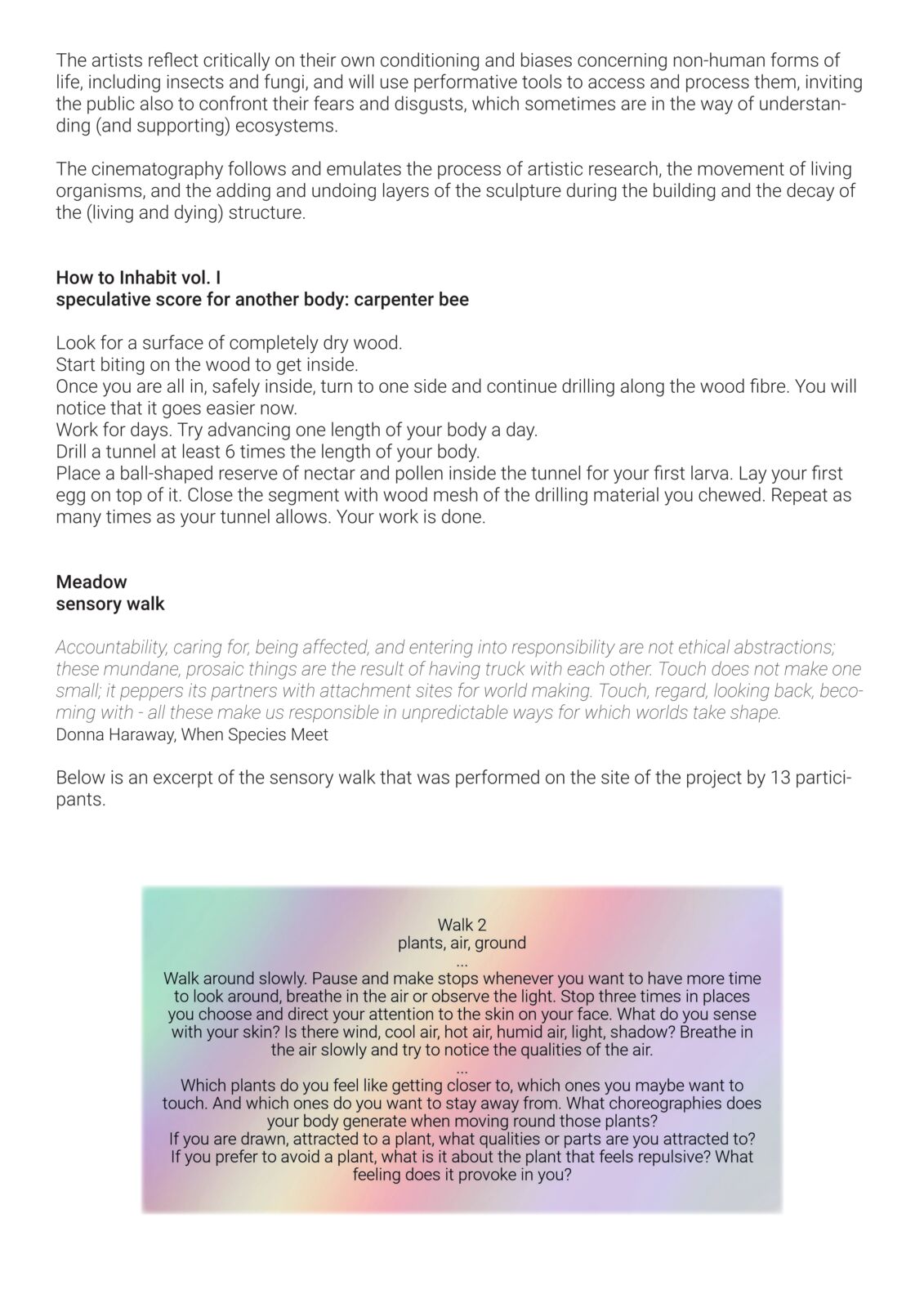 Beeing, Beecoming portfolio
