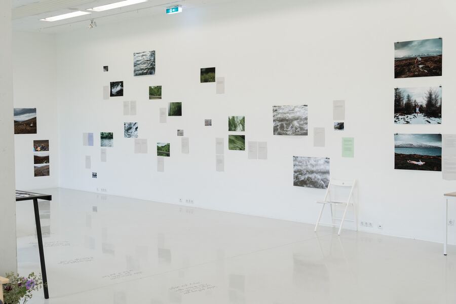 Group Exhibitions